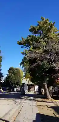 下総府中六所神社(千葉県)