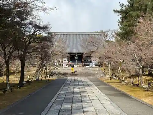 仁和寺の{uncategorized: "未分類", other: "その他", undefined: "問題あり", building: "その他建物", grave: "お墓", sacred_gate: "鳥居", guardian: "狛犬", statue: "像", buddha: "仏像", history: "歴史", nature: "自然", garden: "庭園", animal: "動物", pagoda: "塔", temizu: "手水舎", mountain_gate: "山門・神門", sanctuary: "本殿・本堂", subordinate: "末社・摂社", art: "芸術", scenery: "景色", jizo: "地蔵", ema: "絵馬", goshuin: "御朱印", omikuji: "おみくじ", items: "授与品その他", amulet: "お守り", goshuincho: "御朱印帳", eats: "食事", festival: "お祭り", votive_dance: "神楽", shichigosan: "七五三参", wedding: "結婚式", experience: "体験その他", initially: "初詣", around: "周辺", anti_infection: "感染症対策"}