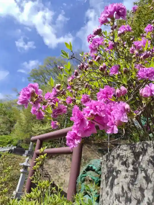 厚別神社(北海道)