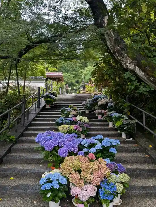 岡寺(龍蓋寺)(奈良県)