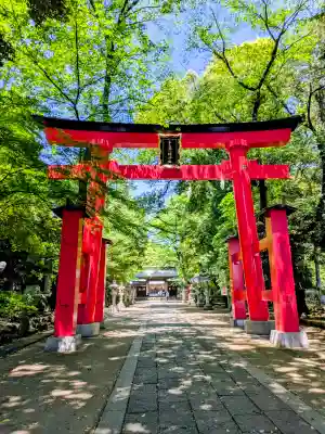 峯ヶ岡八幡神社の{uncategorized: "未分類", other: "その他", undefined: "問題あり", building: "その他建物", grave: "お墓", sacred_gate: "鳥居", guardian: "狛犬", statue: "像", buddha: "仏像", history: "歴史", nature: "自然", garden: "庭園", animal: "動物", pagoda: "塔", temizu: "手水舎", mountain_gate: "山門・神門", sanctuary: "本殿・本堂", subordinate: "末社・摂社", art: "芸術", scenery: "景色", jizo: "地蔵", ema: "絵馬", goshuin: "御朱印", omikuji: "おみくじ", items: "授与品その他", amulet: "お守り", goshuincho: "御朱印帳", eats: "食事", festival: "お祭り", votive_dance: "神楽", shichigosan: "七五三参", wedding: "結婚式", experience: "体験その他", initially: "初詣", around: "周辺", anti_infection: "感染症対策"}