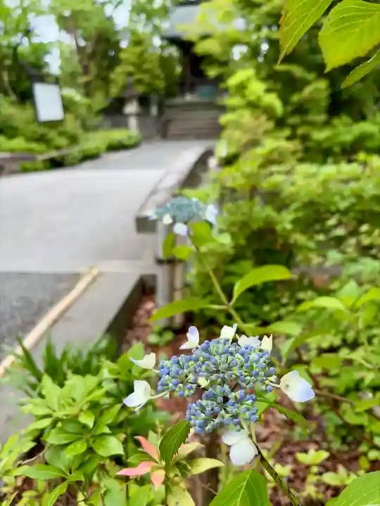 宮山神社(神奈川県)