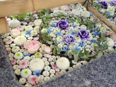 高円寺氷川神社の手水舎