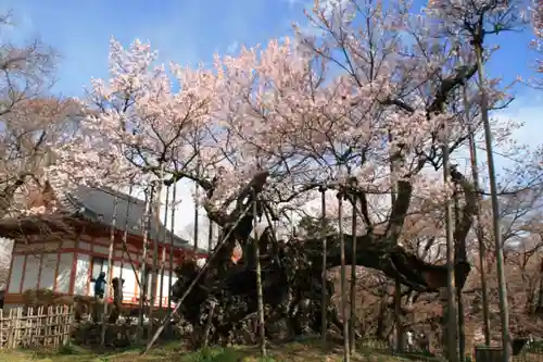 実相寺の建物その他