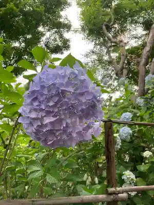 頼光寺(兵庫県)