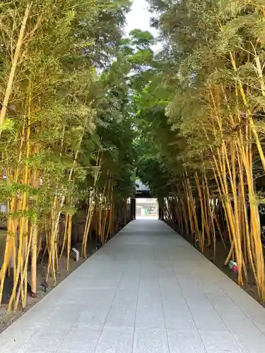 梅窓院(東京都)