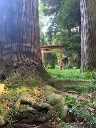 熊野神社の鳥居