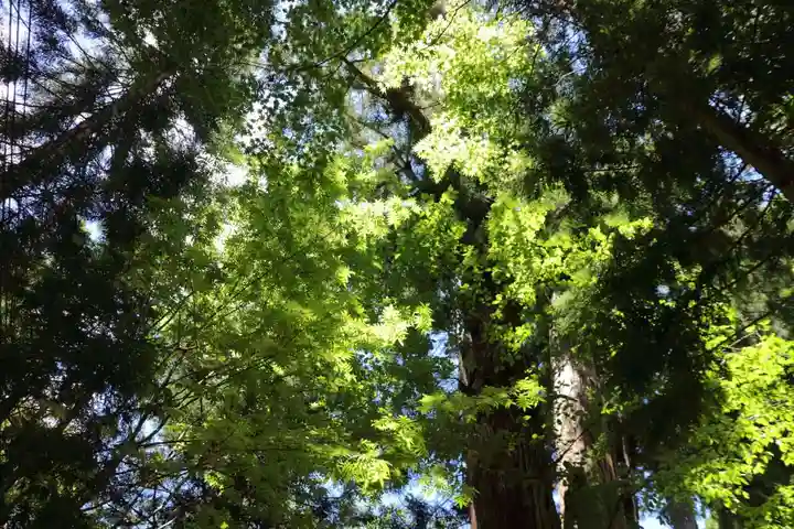 磐椅神社の景色
