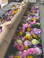 群馬県護国神社(群馬県)