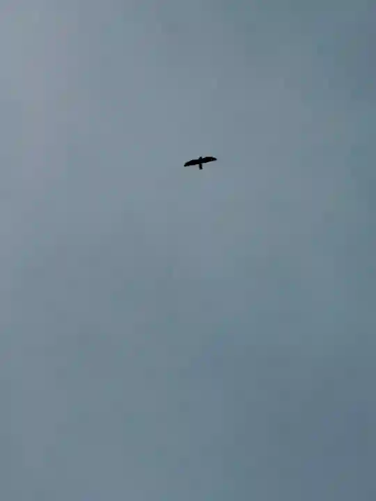 海住山寺(京都府)