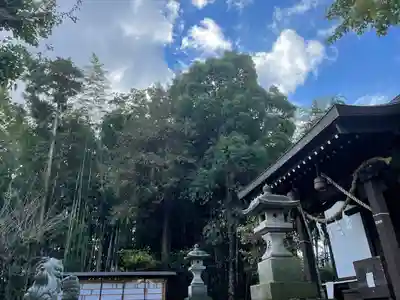 日枝神社のその他建物