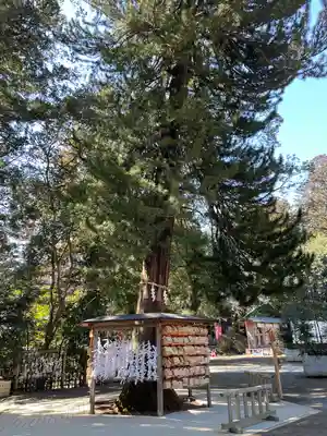 大崎八幡宮(宮城県)