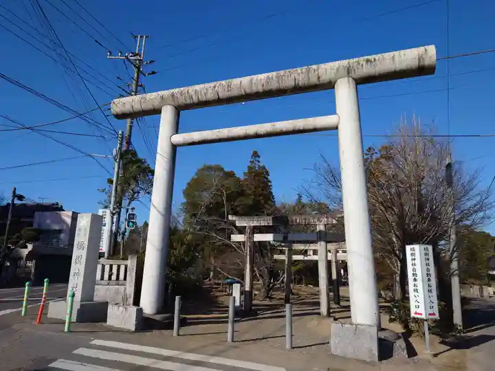 橘樹神社の鳥居