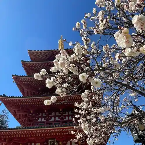 高幡不動尊　金剛寺(東京都)