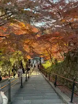 清水寺(京都府)