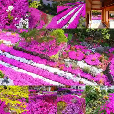 寿量山 速成寺(奈良県)