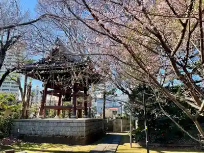 法明寺の{uncategorized: "未分類", other: "その他", undefined: "問題あり", building: "その他建物", grave: "お墓", sacred_gate: "鳥居", guardian: "狛犬", statue: "像", buddha: "仏像", history: "歴史", nature: "自然", garden: "庭園", animal: "動物", pagoda: "塔", temizu: "手水舎", mountain_gate: "山門・神門", sanctuary: "本殿・本堂", subordinate: "末社・摂社", art: "芸術", scenery: "景色", jizo: "地蔵", ema: "絵馬", goshuin: "御朱印", omikuji: "おみくじ", items: "授与品その他", amulet: "お守り", goshuincho: "御朱印帳", eats: "食事", festival: "お祭り", votive_dance: "神楽", shichigosan: "七五三参", wedding: "結婚式", experience: "体験その他", initially: "初詣", around: "周辺", anti_infection: "感染症対策"}