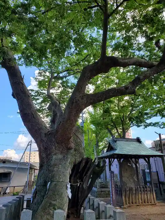 阿邪訶根神社の自然