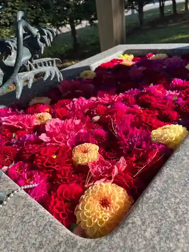 士幌神社の手水舎