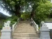 山王神社の{uncategorized: "未分類", other: "その他", undefined: "問題あり", building: "その他建物", grave: "お墓", sacred_gate: "鳥居", guardian: "狛犬", statue: "像", buddha: "仏像", history: "歴史", nature: "自然", garden: "庭園", animal: "動物", pagoda: "塔", temizu: "手水舎", mountain_gate: "山門・神門", sanctuary: "本殿・本堂", subordinate: "末社・摂社", art: "芸術", scenery: "景色", jizo: "地蔵", ema: "絵馬", goshuin: "御朱印", omikuji: "おみくじ", items: "授与品その他", amulet: "お守り", goshuincho: "御朱印帳", eats: "食事", festival: "お祭り", votive_dance: "神楽", shichigosan: "七五三参", wedding: "結婚式", experience: "体験その他", initially: "初詣", around: "周辺", anti_infection: "感染症対策"}
