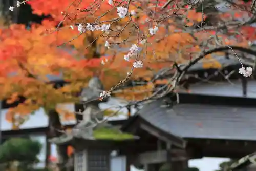 鹿島大神宮の景色