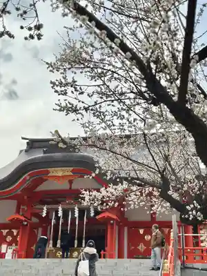 花園神社の本殿・本堂