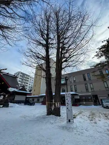 北海道神宮頓宮の自然