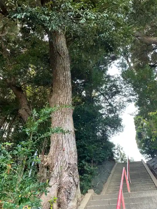 新山神社の建物その他