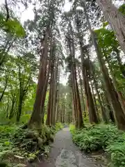 戸隠神社九頭龍社(長野県)