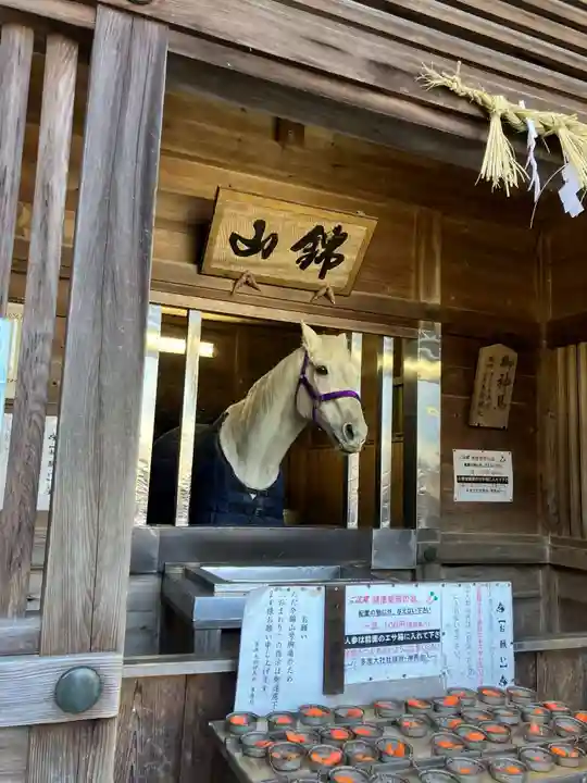 多度大社の動物