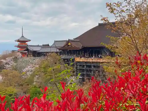 清水寺の本殿