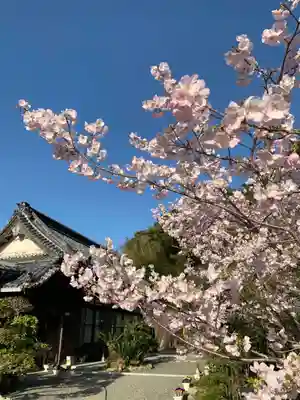胎蔵寺の自然