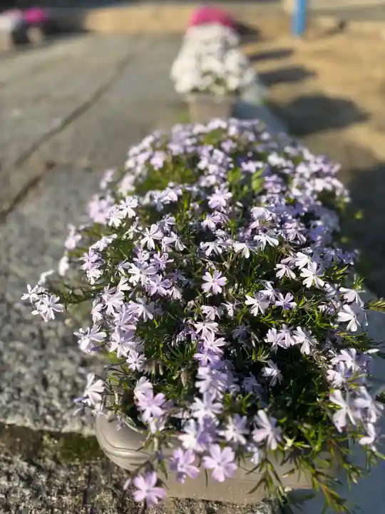 大年神社(兵庫県)