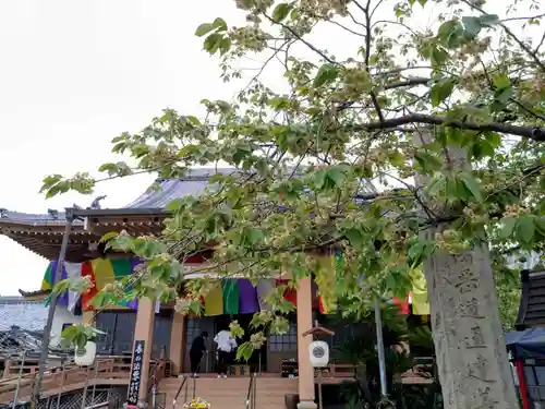 覚照寺(愛知県)