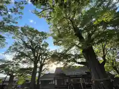 白鳥神社(長野県)