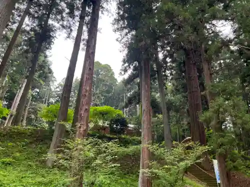 大宮温泉神社のその他建物