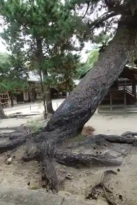 白鳥神社(香川県)