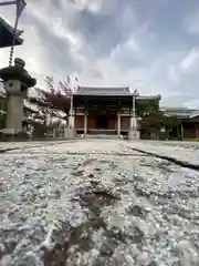 長円寺(京都府)