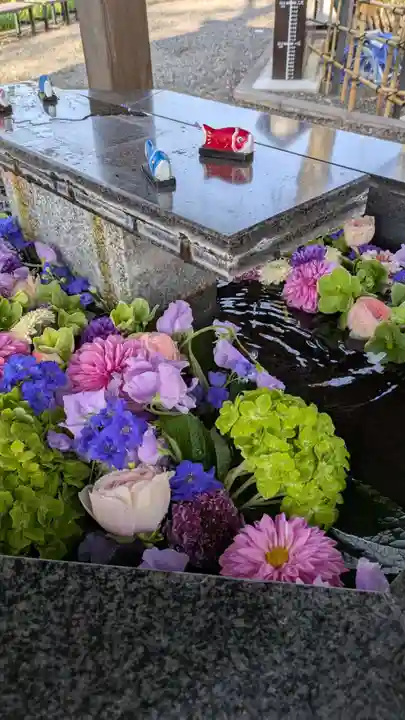 新琴似神社(北海道)