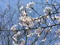 東郷神社(福岡県)