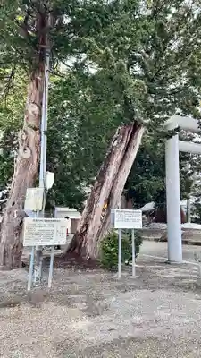 意冨比神社(北海道)