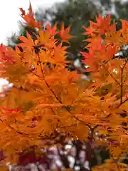 花巻温泉稲荷神社の自然