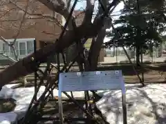 江南神社(北海道)