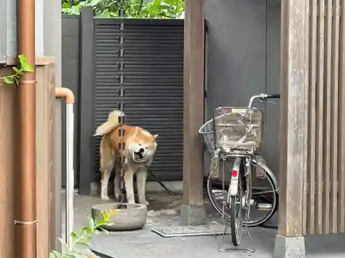 玉林寺(愛知県)
