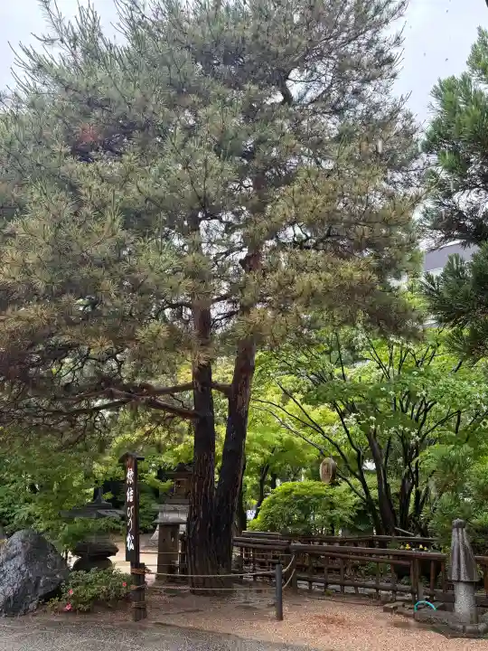 四柱神社(長野県)