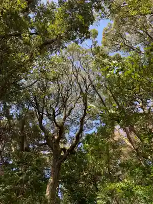 大山祇神社の自然