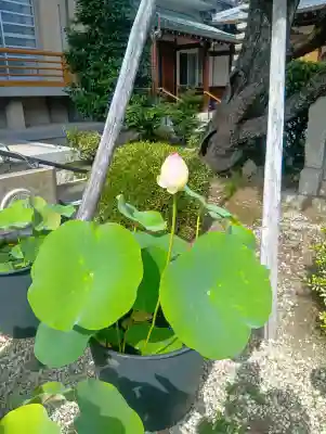 西林寺(愛知県)