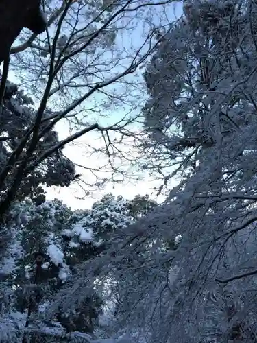 賀茂御祖神社（下鴨神社）の自然