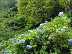 済渡寺(岡山県)