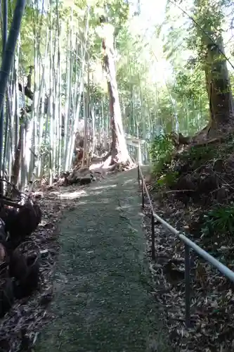 高田山口神社の自然